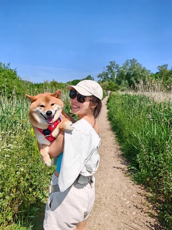 Leah carrying Peanut, a shiba inu in a red harness, along a narrow footpath between long summer grass.